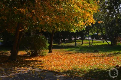 Последний день сентября будет по-летнему теплым: погода в Молдове на пятницу