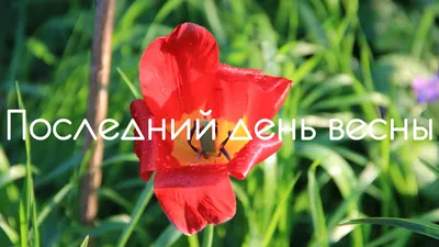 Каким будет последний день весны? - АЗЕРТАДЖ