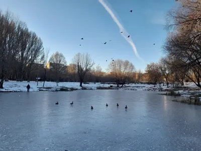 В последний осенний день в Самаре будет зимняя погода