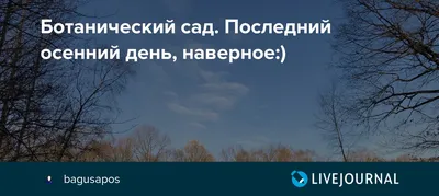 Дождь зарядит на весь день: прогноз погоды на четверг в Волжском