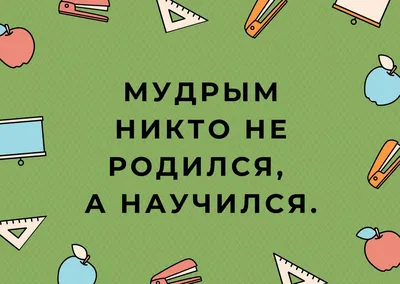 Книга Загадки, скороговорки, пословицы и поговорки для умных малышей купить  по выгодной цене в Минске, доставка почтой по Беларуси