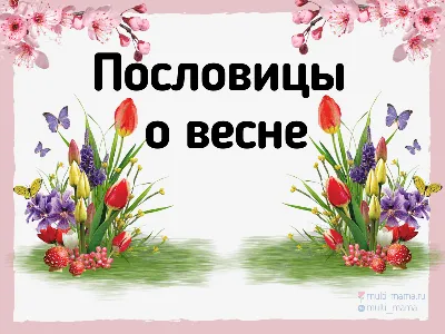 104 самых прекрасных пословицы о весне