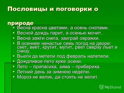 Пословицы и поговорки