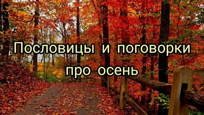 Пословицы, поговорки и приметы про осень детям. Пословицы об осени # поговорки#осень#пословицы - YouTube