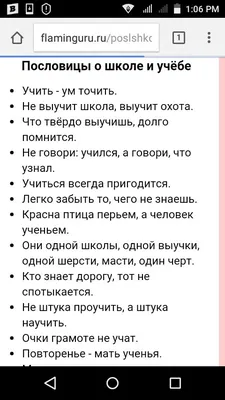 Пословицы про школу и учебу | Пословицы для детей