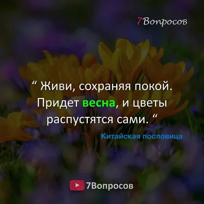 Живи, сохраняя покой. Придет весна, и цветы распустятся сами. “ © Китайская  пословица . . . — YouTube канал: "7Вопро… | Яркие цитаты, Мудрые цитаты,  Лучшие цитаты