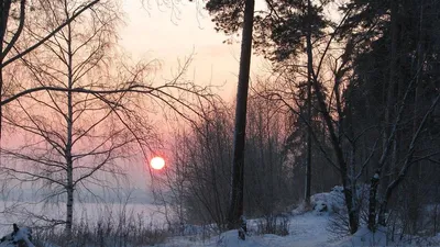 Книга Шс пословицы, поговорки и крылатые Выражения. (Фгос) клюхина. -  купить развития речи в интернет-магазинах, цены на Мегамаркет |