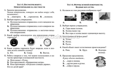 Тест: Что вы первым видите на картинке? | Картинки, Тесто, Тесты личности