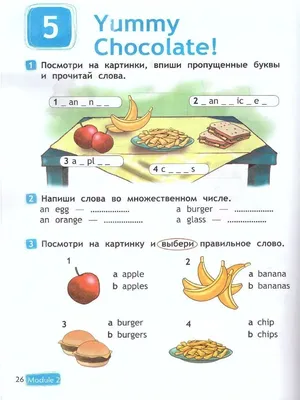 Раскраска «Посмотри и раскрась. Медвежонок» купить в Чите Раскраски в  интернет-магазине Чита.дети (9614477)