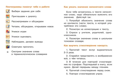 Раскраска «Посмотри и раскрась. Енот» купить в Чите Раскраски в  интернет-магазине Чита.дети (9614479)