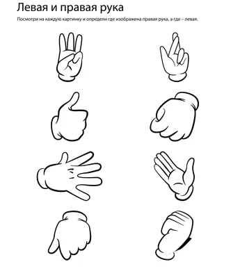 Задание «Левая и правая рука» для дошкольников от генератора развивающих  заданий ЧикиПуки » 