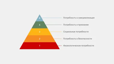 Потребности человека: что это такое и какие виды бывают / Skillbox Media