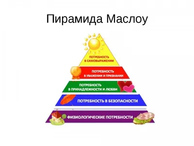 Наши базовые потребности : Общественная палата