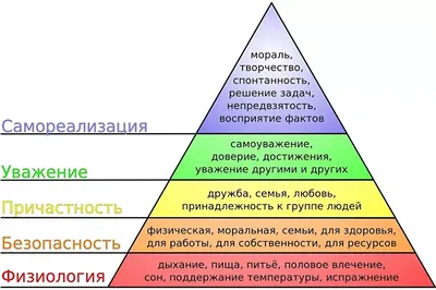 Потребности и способности • Обществознание, Общество и человек • Фоксфорд  Учебник