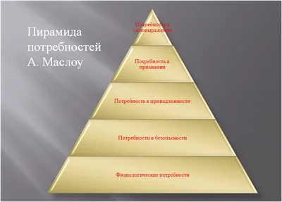 Шаг 3 – Потребности человека – Stepik