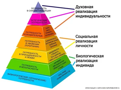 Пирамида Маслоу потребности человека | иерархия и виды потребностей теории  Абрахама Маслоу