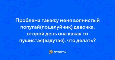 Мем: "ЖАКСЛЫК! С ДНЕМ РОЖДЕНИЕМ! ПОЦЕЛУЙЧИК ОТ МЕНЯ!" - Все шаблоны -  