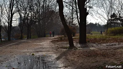 Осень улетает. День поздней осени. …» — создано в Шедевруме