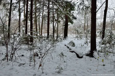 Все цвета поздней осени