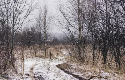 Поздняя осень... Фотограф Качурин Алексей