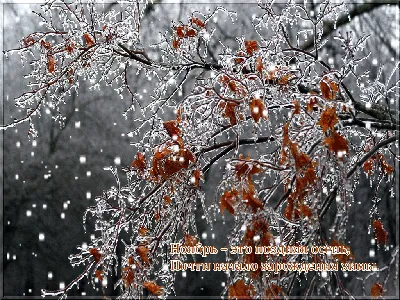 Картина Поздняя осень ᐉ Колос Анна ᐉ онлайн-галерея Molbert.