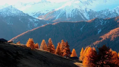 Фото: Поздняя осень в парке. Фотограф Степан. Город - Фотосайт Расфокус.ру