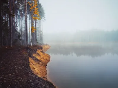 Поздняя осень