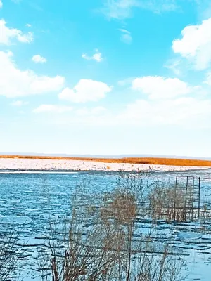 Поздняя весна... -1° | Всё и сразу | Дзен