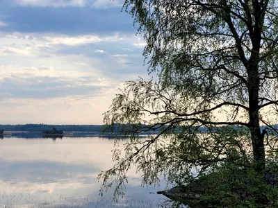 Весна поздняя, весна ранняя – отчеты о рыбалке | Рыбак Jekssone