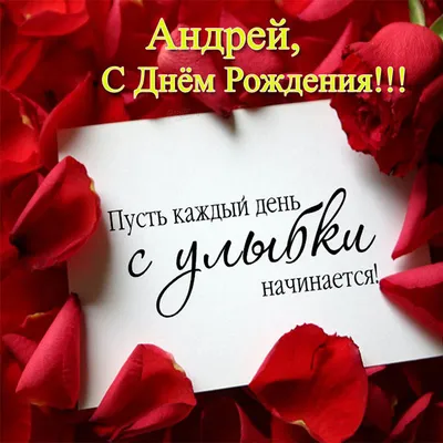 Андрей, с Днём Рождения: гифки, открытки, поздравления - Аудио, от Путина,  голосовые