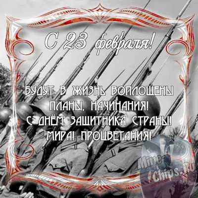 Поздравления на 23 февраля - ч.1 | Авокадо и ёж | Дзен