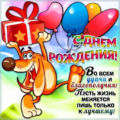 С днём рождения Дима! Поздравляю! #рек #дима #сднемрождения #рекоменда... |  TikTok