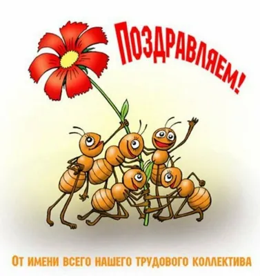 АНО "ЦСОН СВО" on X: "Поздравляем с ДНЕМ РОЖДЕНИЯ коллегу - директора АНО  "ЦСОН Юго-Западного округа"- женщину с активной жизненной позицией -  НИКОЛАЕВУ Людмилу Анатольевну! /ZKD3RUw8YI" / X