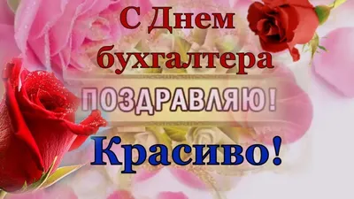 🌹ДЕНЬ БУХГАЛТЕРА 21 ноября🥂видео поздравление с днем бухгалтера  России🌹п... | Поздравительные открытки, Открытки, Картинки