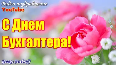 С Днем бухгалтера: поздравления в прозе и стихами от души и с юмором