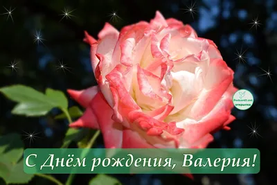 Сегодня свой день рождения отмечает наш радиоведущий Валера Мирошников  🥳🥳🥳 Поздравляем с днем рождения! Хотим пожелать тебе здоровья… |  Instagram