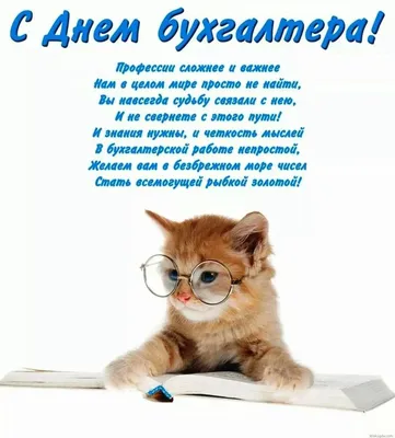 Как поздравить с Днем бухгалтера в стихах, прозе, смс. Открытки для  бухгалтера