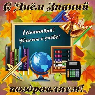 День знаний 1 сентября: лучшие, красивые и прикольные открытки с надписями  к празднику - МК Новосибирск