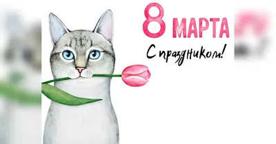 С праздником 8 Марта!- Прикольные поздравления с 8 марта в стихах- Смешные  стихи- Test-pilot Владимир Городзейский- ХОХМОДРОМ