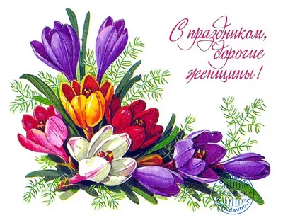 Поздравление с 8 марта от Администрации Советского района | ИВМиМГ СО РАН