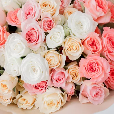 😍😍😍Примите поздравления с 8 Марта! Пусть настроение цветет, как весенние  цветы, жизнь будет яркой, работа в радость, а дом всегда полной ча… |  Instagram