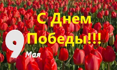 Поздравления с Днем Победы - С 9 мая - 