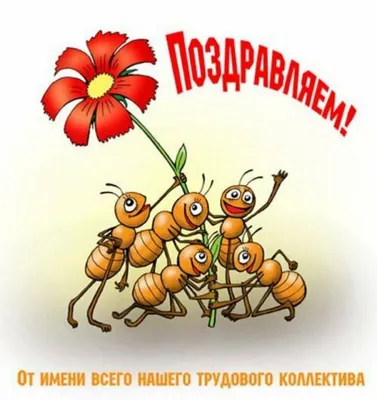 Поздравления с днем рождения начальнику - прикольные картинки и открытки  руководителю - Телеграф