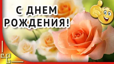 Прикольные поздравления с днем рождения начальнице - картинки, открытки,  проза и стихи - Телеграф