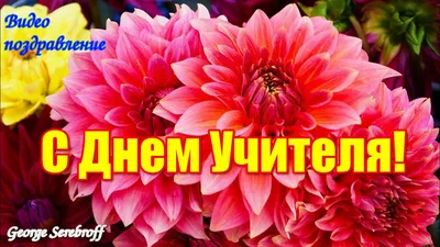 Аксай | Поздравление Кучеренко А.К., начальника УО ААР, с Днём учителя всех  работников образования Аксайского района - БезФормата