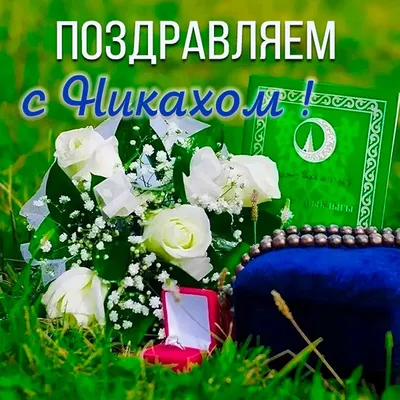 Открытки на Никах