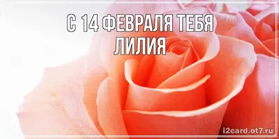 Открытка с именем Лилия С 14 февраля тебя. Открытки на каждый день с  именами и пожеланиями.