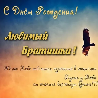 Открытки на 23 февраля брату: 34 поздравления в картинках от сестры или  брата