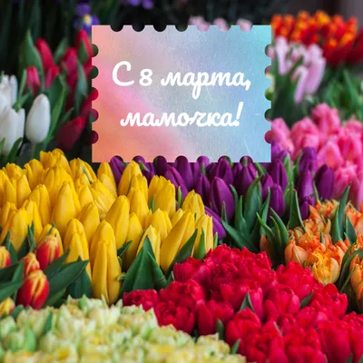 С праздником весны, милые женщины! - Витебский государственный ордена  Дружбы народов медицинский университет