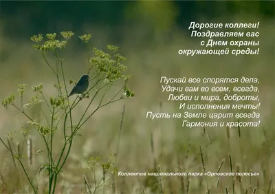 Поздравление с Днем эколога - Орловское полесье